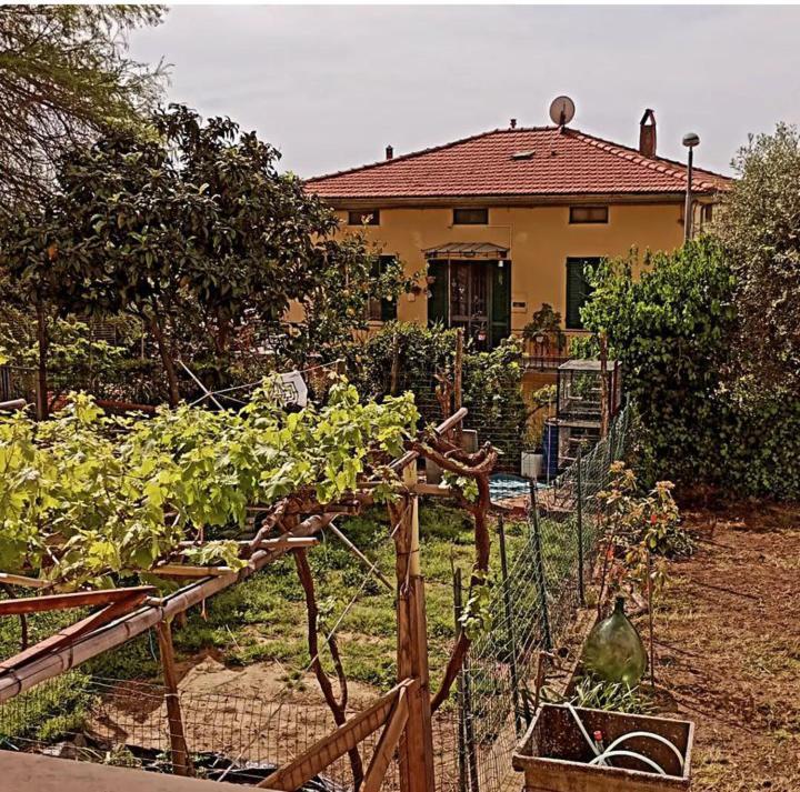Casa Vacanze Toscana,Lago Di Massaciuccoli エクステリア 写真