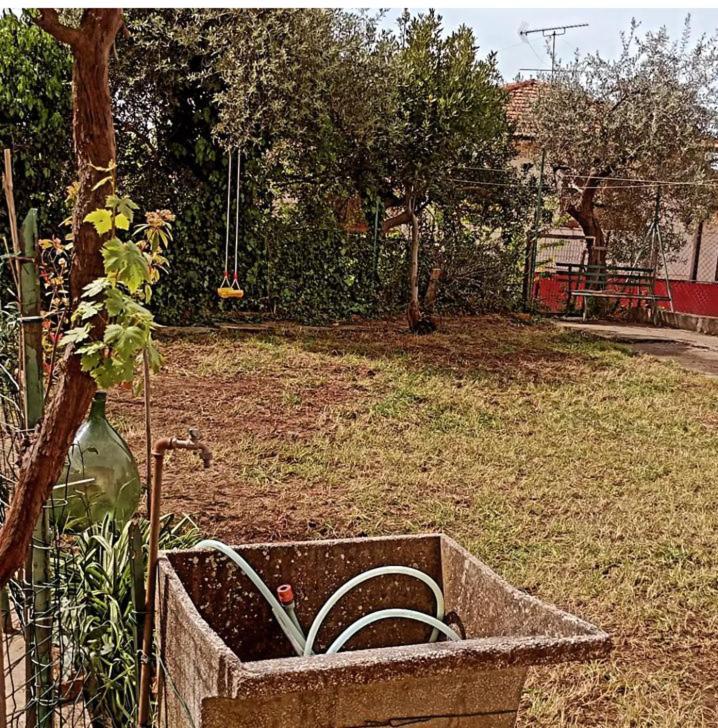 Casa Vacanze Toscana,Lago Di Massaciuccoli エクステリア 写真
