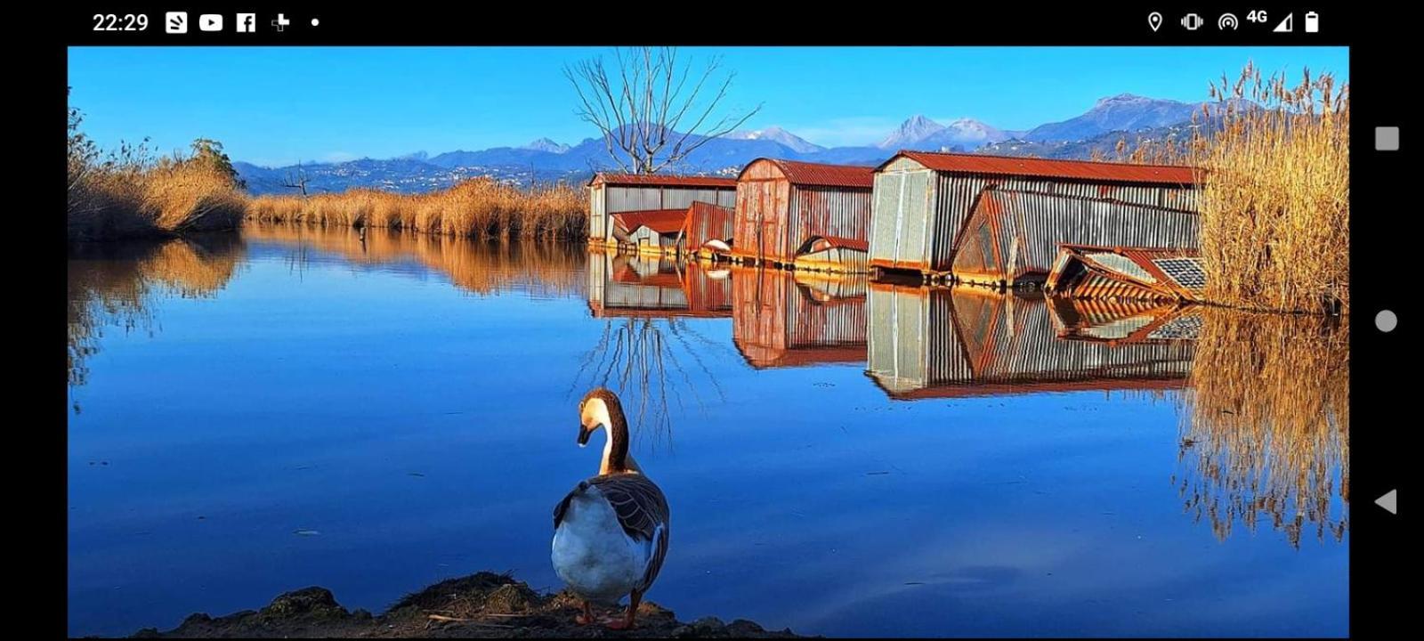 Casa Vacanze Toscana,Lago Di Massaciuccoli エクステリア 写真