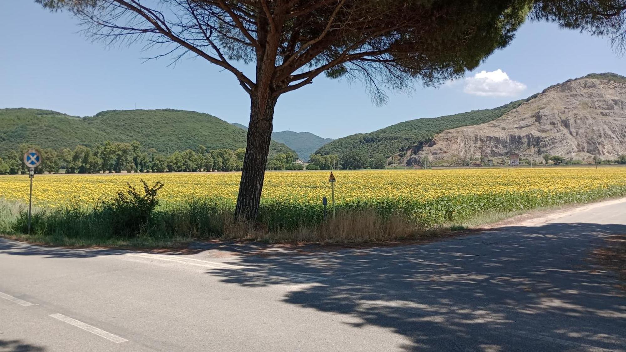 Casa Vacanze Toscana,Lago Di Massaciuccoli エクステリア 写真